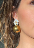 Collete